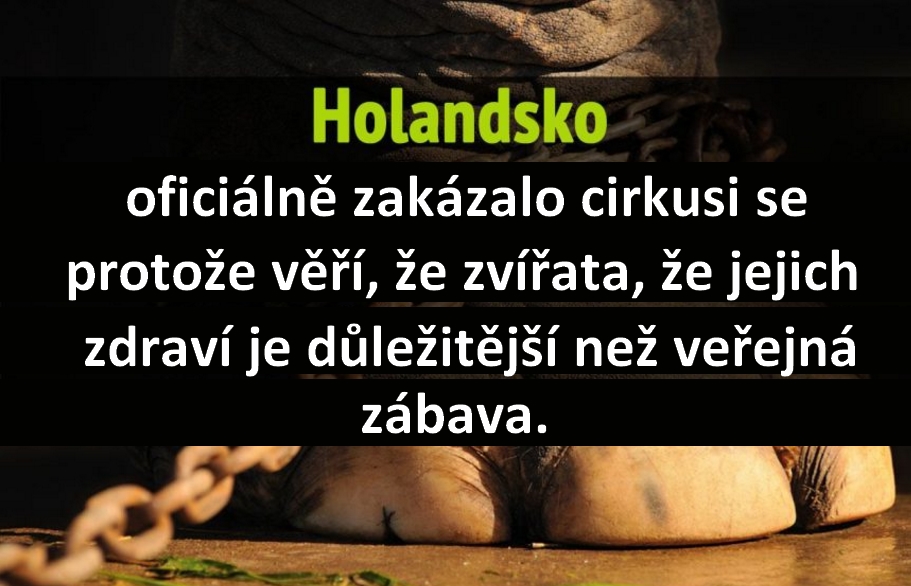 6 zajímavých faktů, které dokazují, že Holandsko je země budoucnosti.