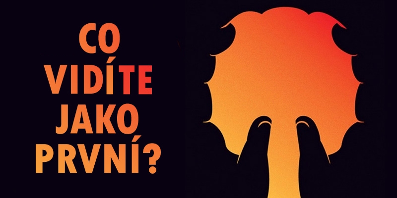 Co Vám připomíná tento obrázek? Zjistíte jakou máte osobnost.