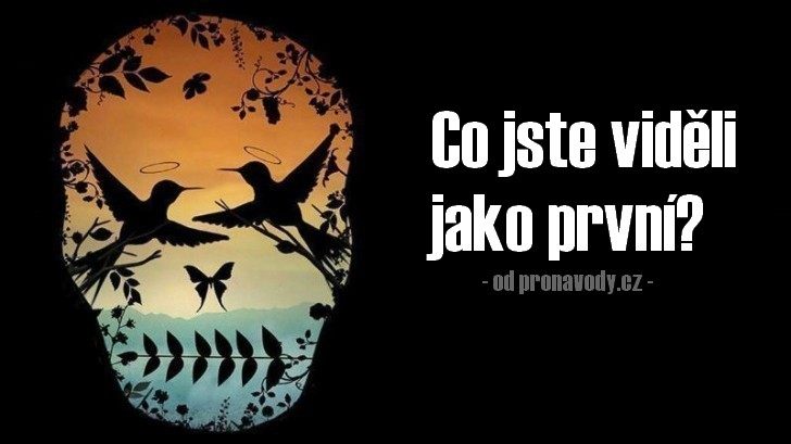 Podívejte se pořádně na tento obrázek a napište, čeho jste si všimli jako první. Co to o Vás vypovídá?