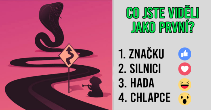 Co vás na tomto obrázku zaujme na první pohled?