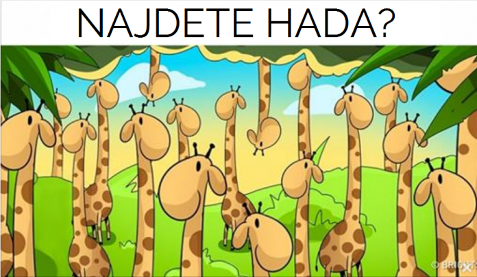 Najdete na tomto obrázku hada? To zvládnou jen lidé s velkým IQ.