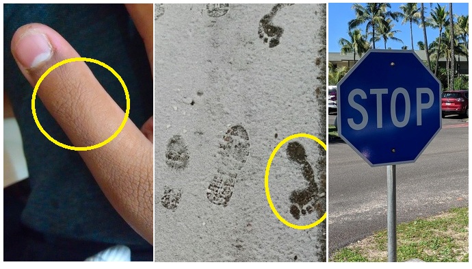 Tyto fotky Vám přijdou zajímavé až na druhý pohled. Kdo si toho všiml?