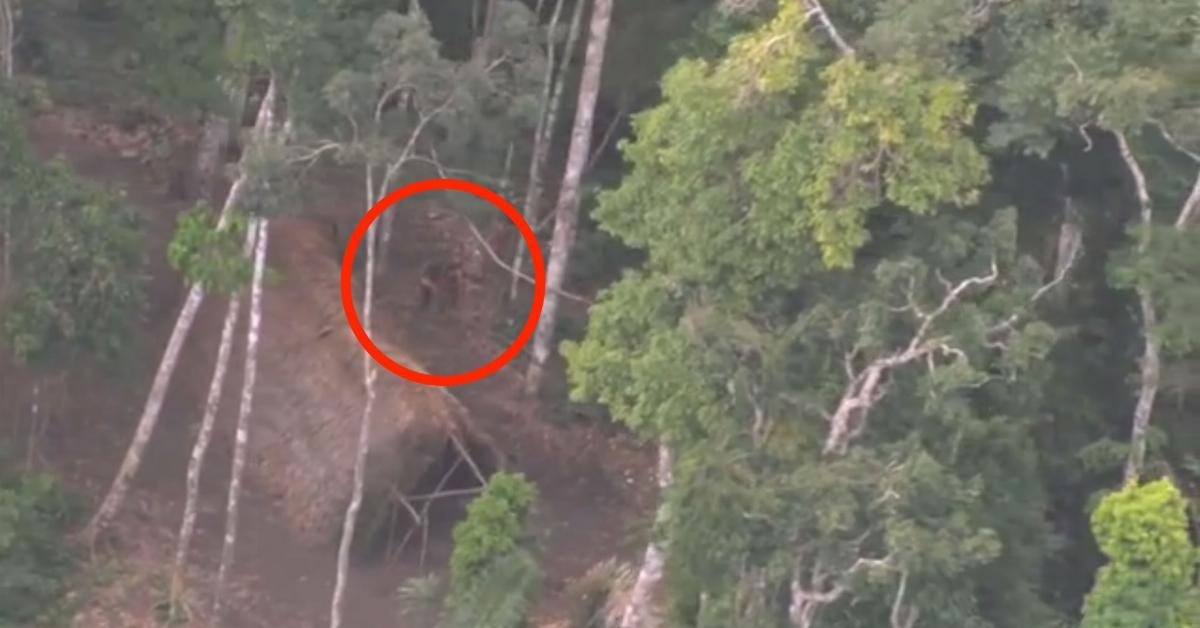 V Amazonském pralese stále žijí lidé, se kterými se nikdo nesmí setkat. Podívejte se na záběry z dronu.