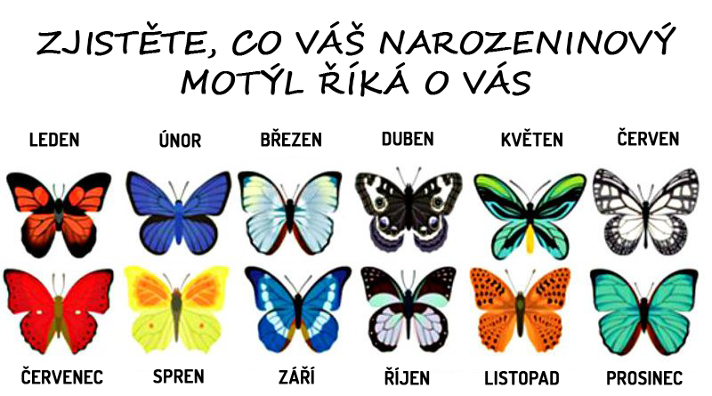 Co o Vás říká Vás narozeninový motýl?