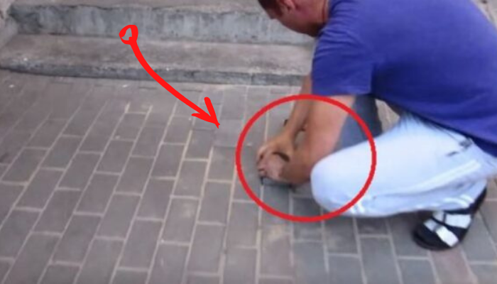 Uslyšel šílený výkřik. Když začal kopat chodník a uviděl, co je pod ním, málem omdlel!