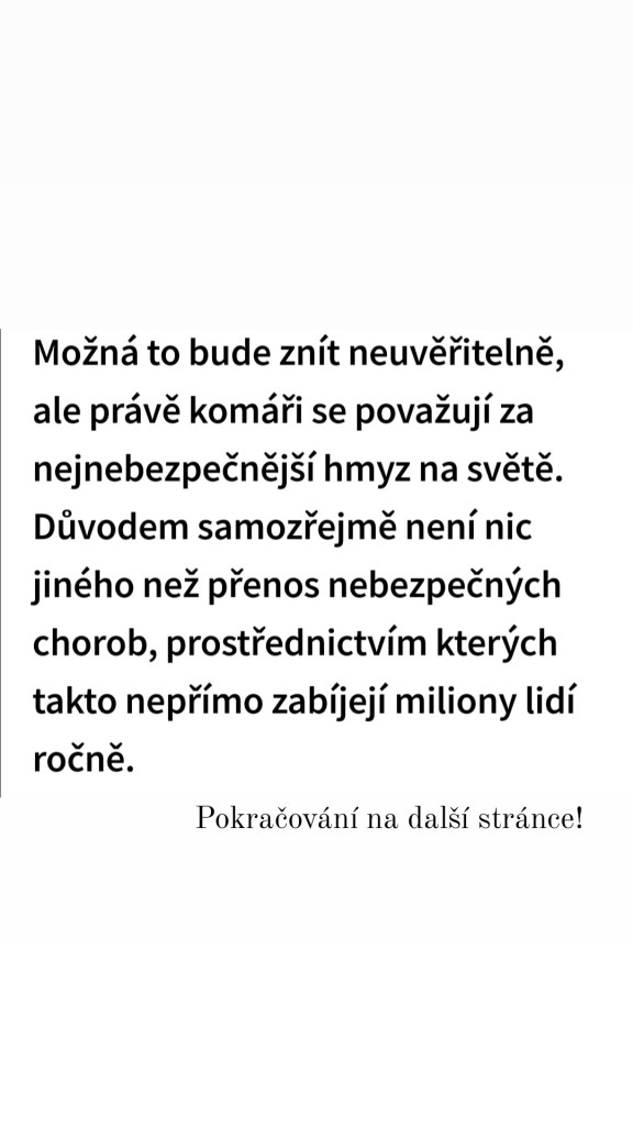 První (12)