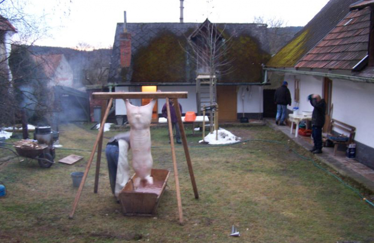 Vysoké pokuty za domácí zabijačky. Můžete dostat pokutu až 25 000 korun..
