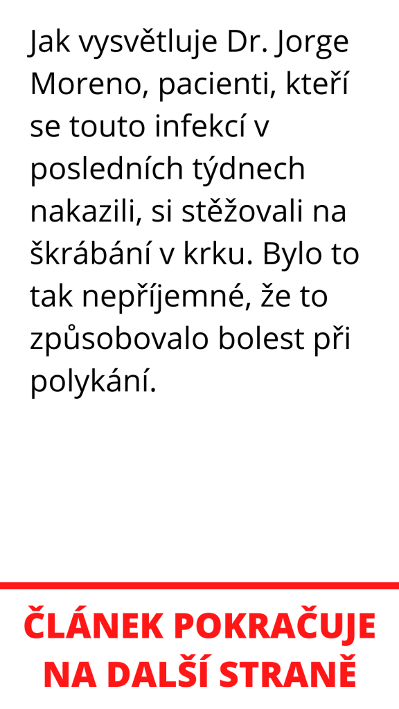 1 (kopie)