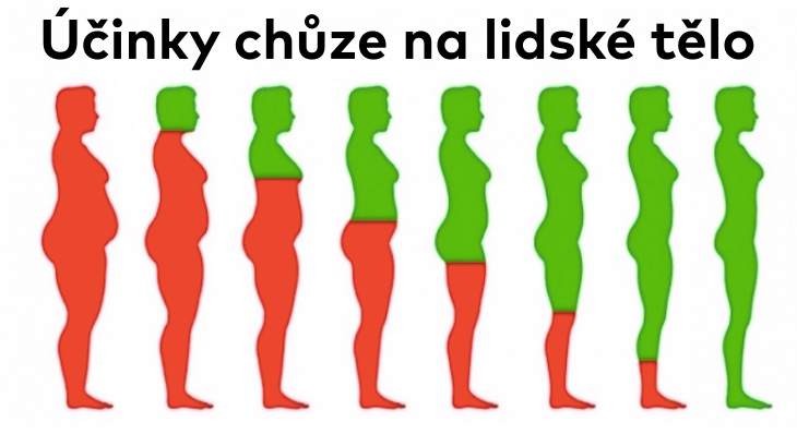 Jak se vaše tělo změní, když budete chodit na procházky každý den?