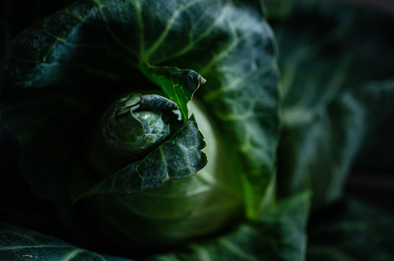 Vegetariáni trpí depresemi častěji. Čím to je?