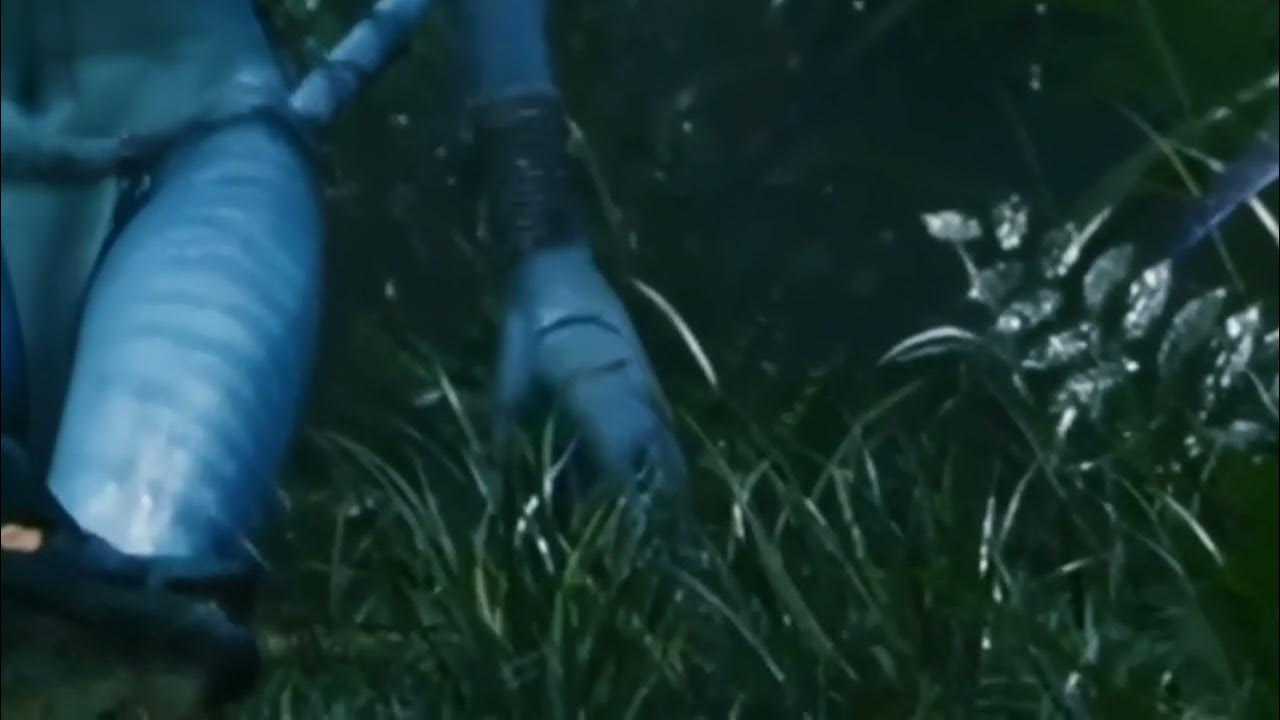 James Cameron z Avatara 2 odstranil 10 minut. Které scény se nedostaly na plátno?