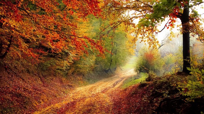road-1072823_1280