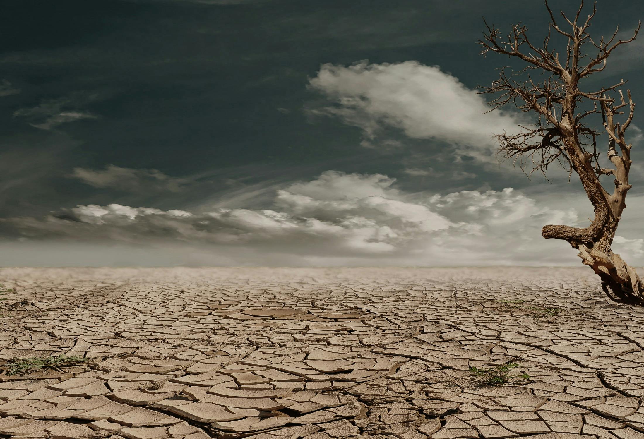 Klimatická změna: Fakta, mýty a výzvy