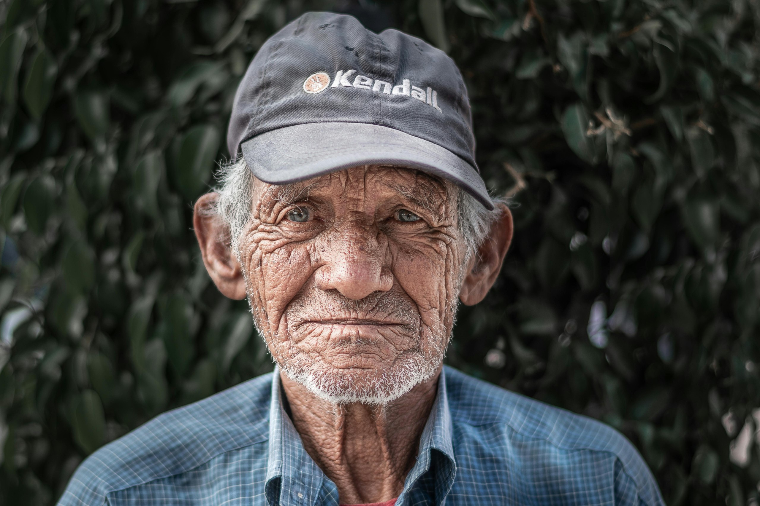 pexels-jmendezrf-3075517