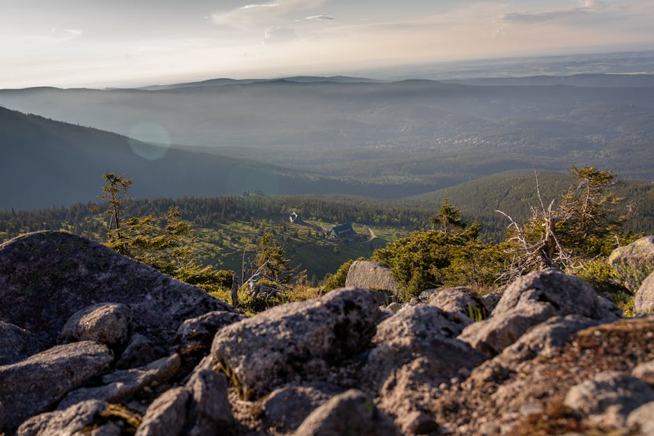 V Krkonoších objevili zázračnou rostlinu. Svítí ve tmě a ničí nádorové buňky